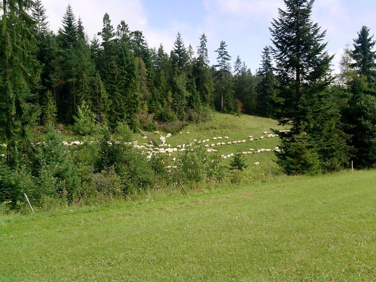 Domek Pod Majowa Gora Kacwin Экстерьер фото